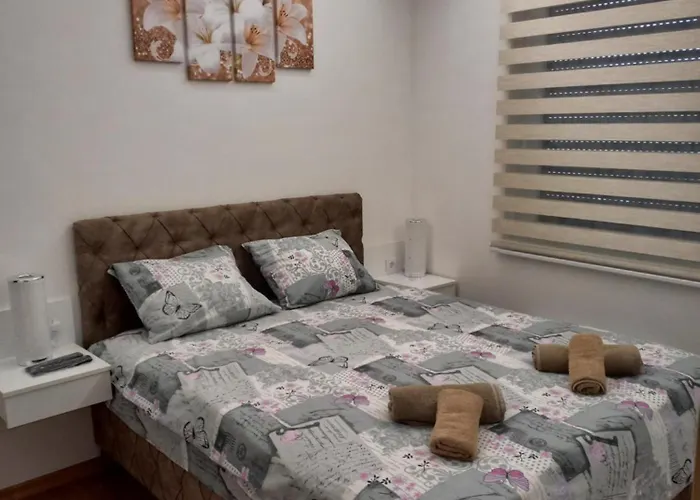 S&n Cvjetkovic زلاتيبور